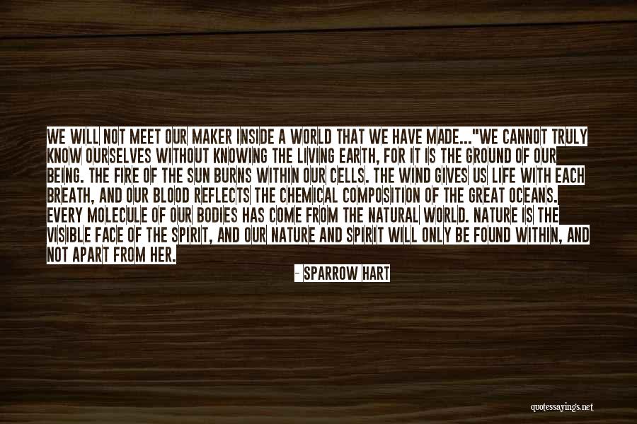 Faltys Surname Quotes By Sparrow Hart Faltys Surname Quotes By Sparrow Hart