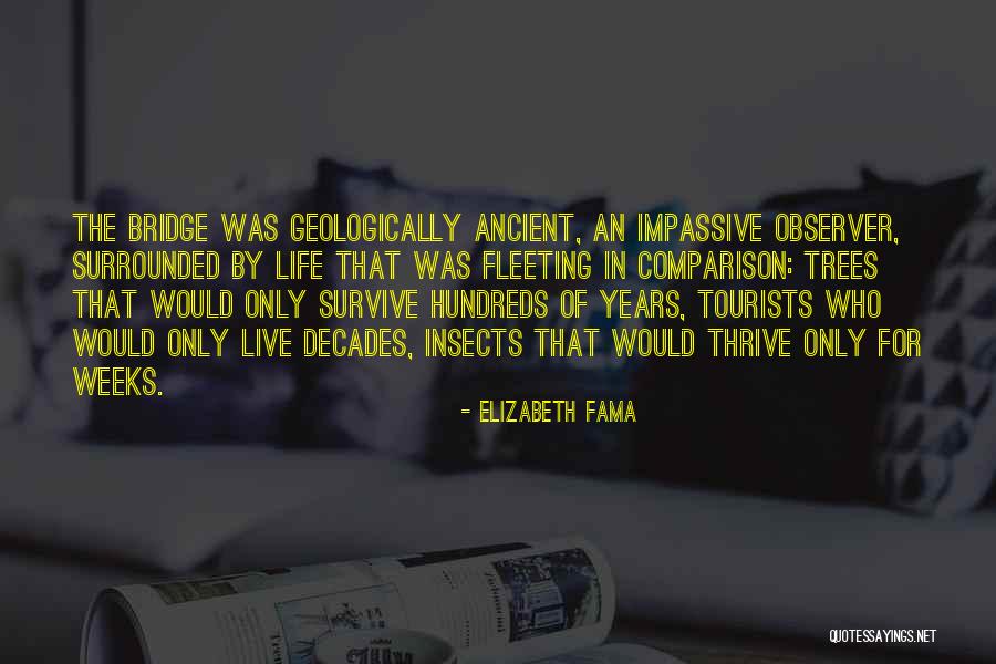 Fama Edu Quotes By Elizabeth Fama Fama Edu Quotes By Elizabeth Fama