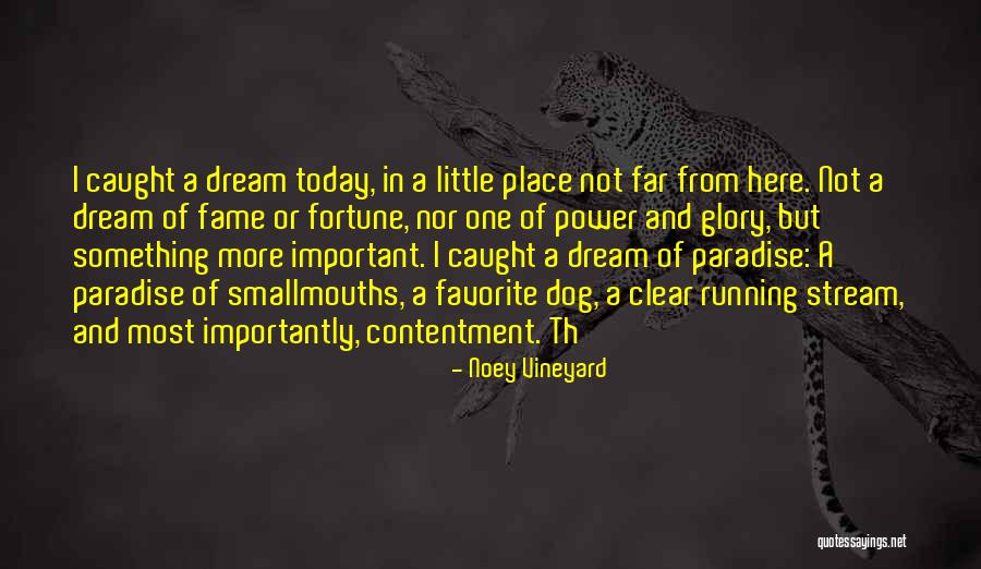 Fame And Glory Quotes By Noey Vineyard Fame And Glory Quotes By Noey Vineyard