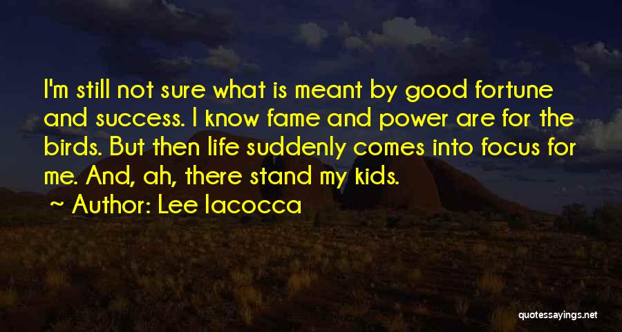 Fame And Power Quotes By Lee Iacocca