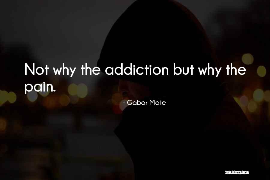 Famiglietti Volpe Quotes By Gabor Mate Famiglietti Volpe Quotes By Gabor Mate