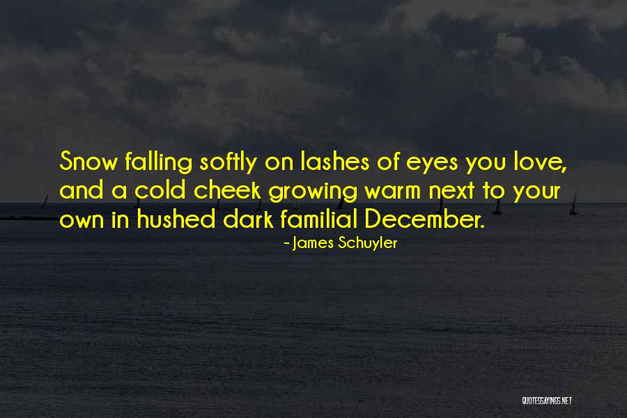 Familial Love Quotes By James Schuyler Familial Love Quotes By James Schuyler