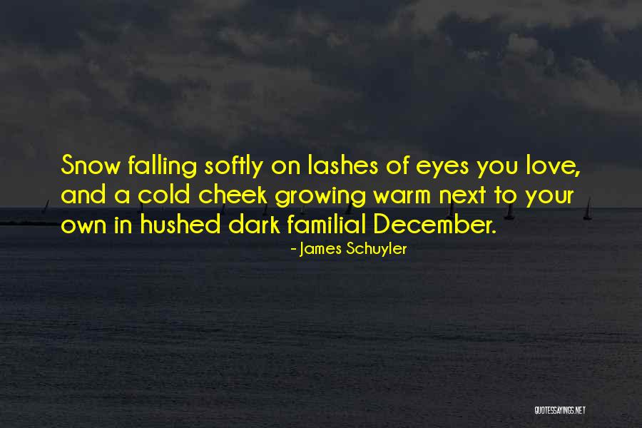 Familial Love Quotes By James Schuyler