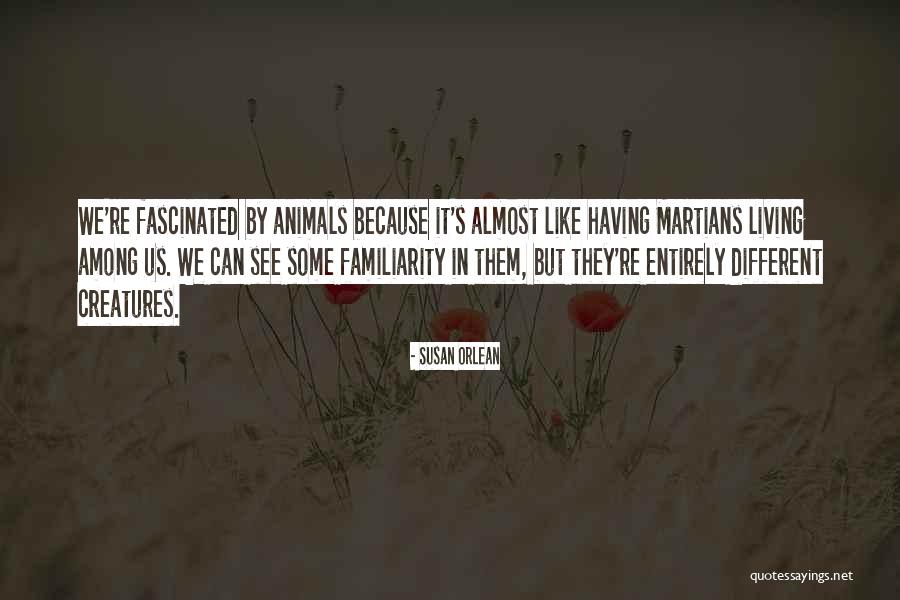 Familiarity Quotes By Susan Orlean Familiarity Quotes By Susan Orlean