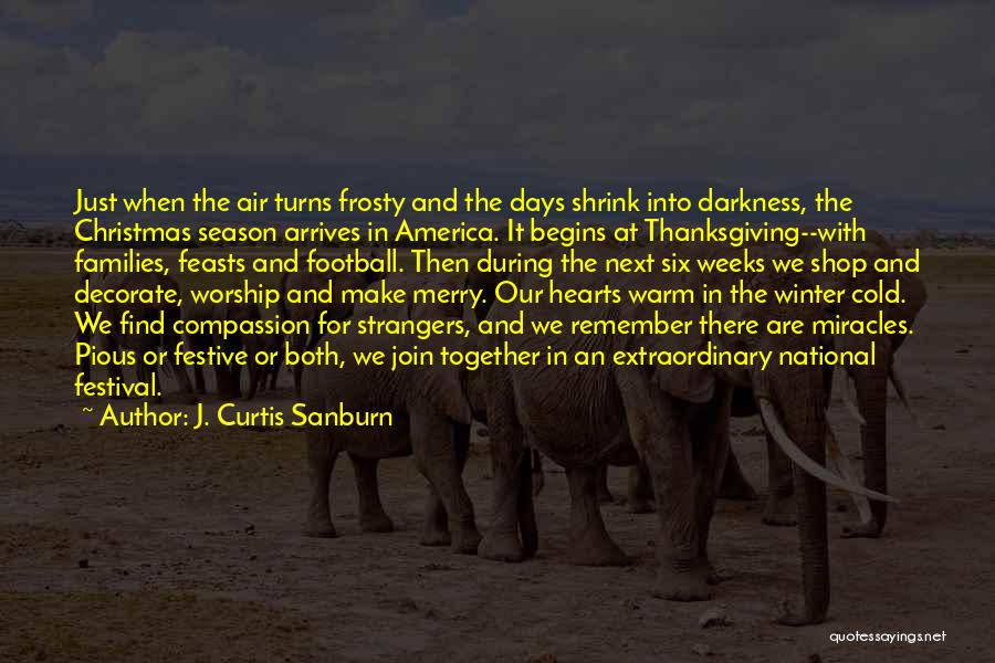Families And Christmas Quotes By J. Curtis Sanburn