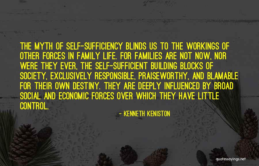 Families And Society Quotes By Kenneth Keniston