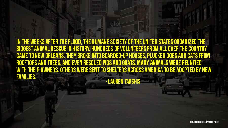 Families And Society Quotes By Lauren Tarshis