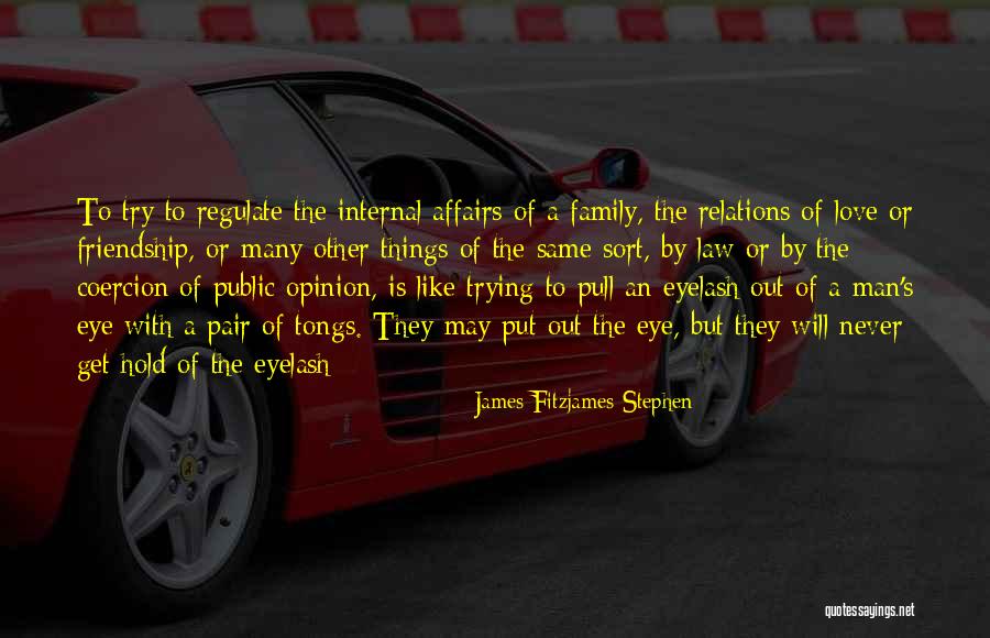 Family Affairs Quotes By James Fitzjames Stephen Family Affairs Quotes By James Fitzjames Stephen