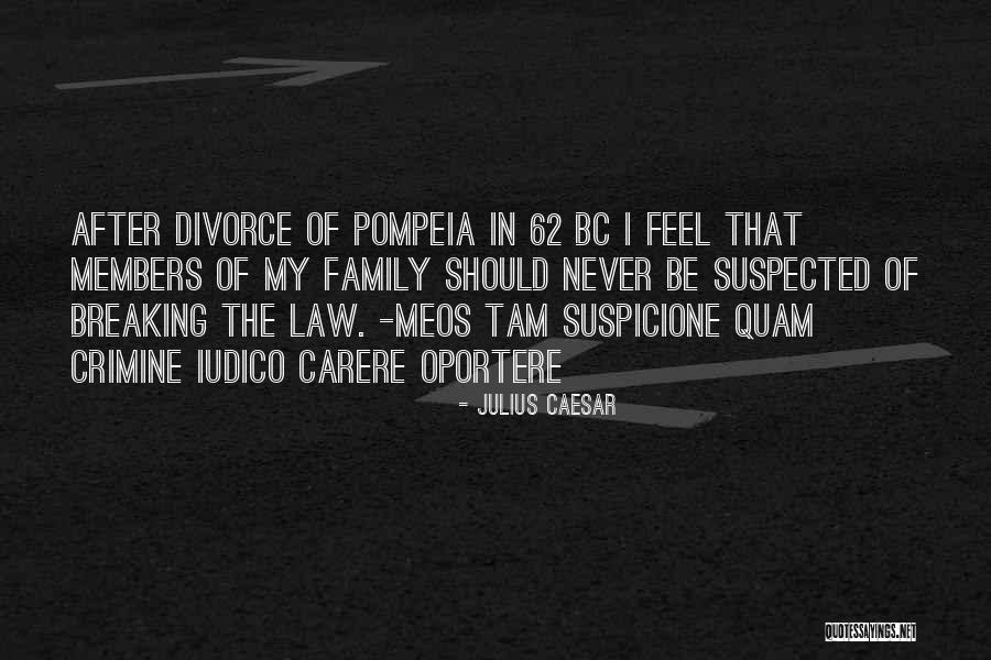 Family After Divorce Quotes By Julius Caesar Family After Divorce Quotes By Julius Caesar
