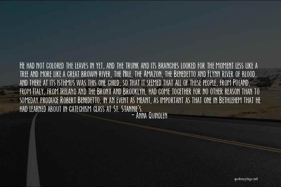 Family All Together Quotes By Anna Quindlen Family All Together Quotes By Anna Quindlen