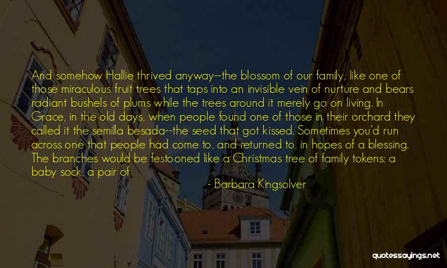 Family And Baby Quotes By Barbara Kingsolver Family And Baby Quotes By Barbara Kingsolver