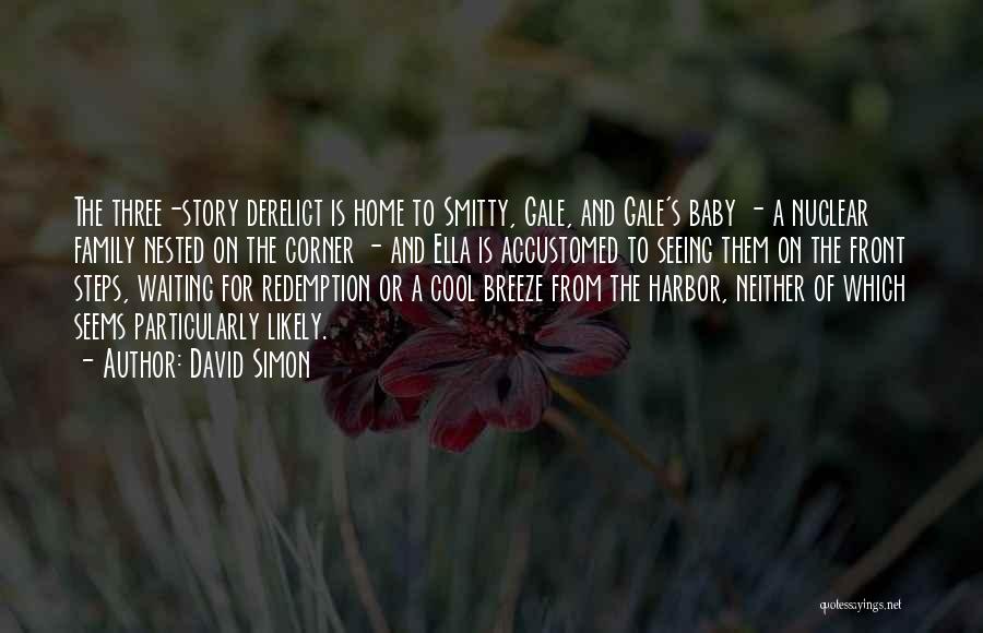Family And Baby Quotes By David Simon