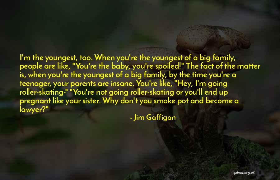 Family And Baby Quotes By Jim Gaffigan