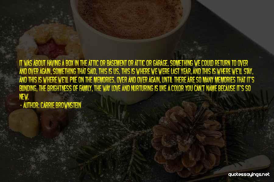 Family And Holidays Quotes By Carrie Brownstein