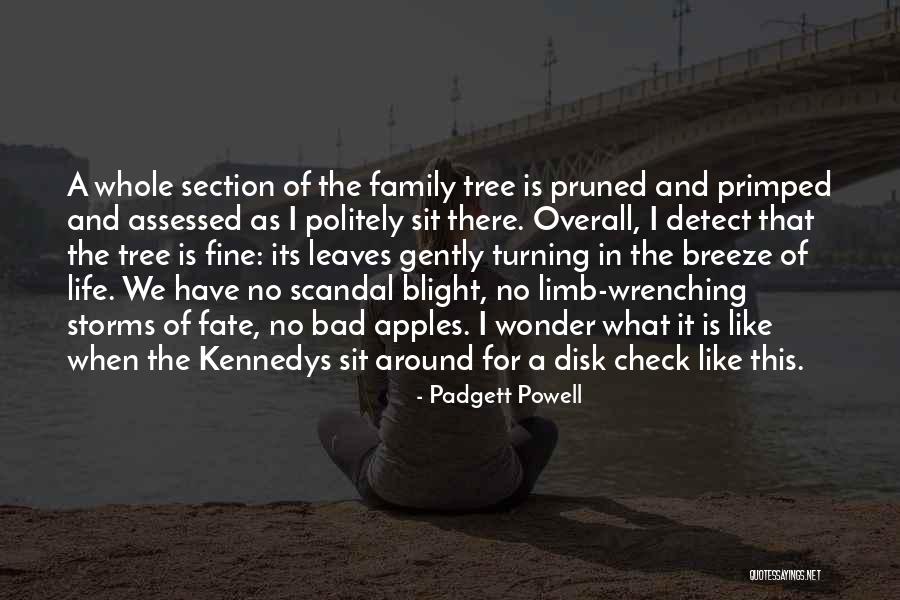 Family And Its Quotes By Padgett Powell Family And Its Quotes By Padgett Powell