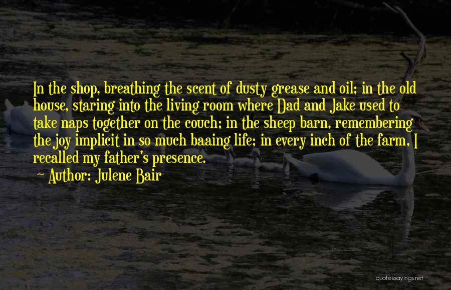 Family And Memories Quotes By Julene Bair