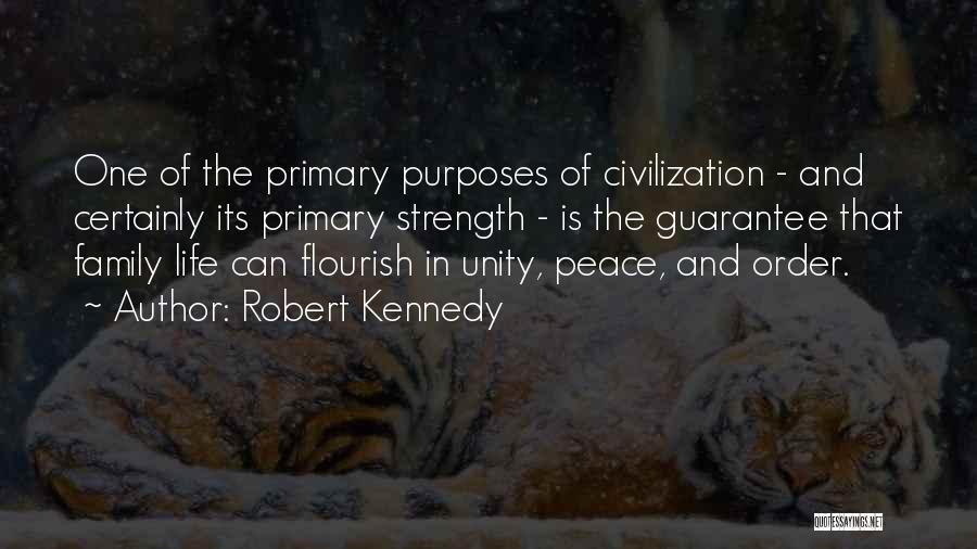 Family And Strength Quotes By Robert Kennedy