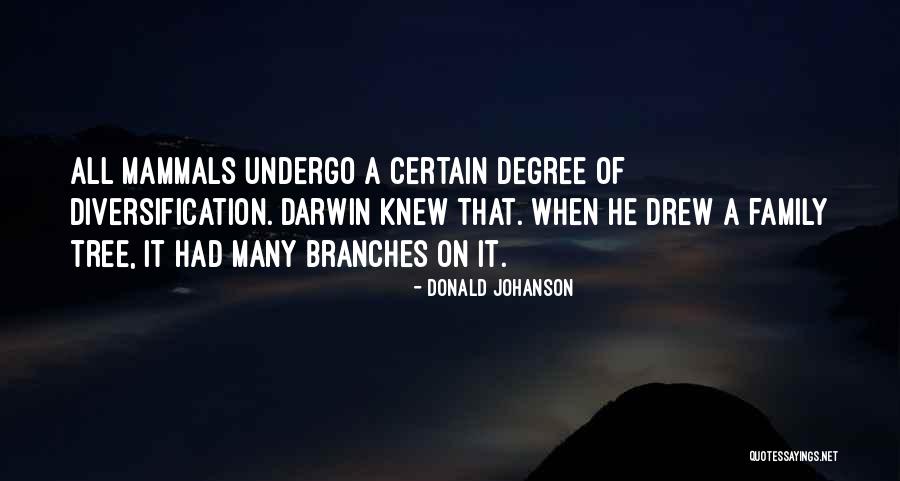 Family And Tree Branches Quotes By Donald Johanson Family And Tree Branches Quotes By Donald Johanson