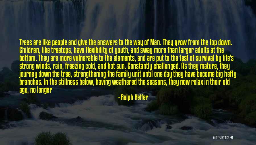Family And Tree Branches Quotes By Ralph Helfer Family And Tree Branches Quotes By Ralph Helfer