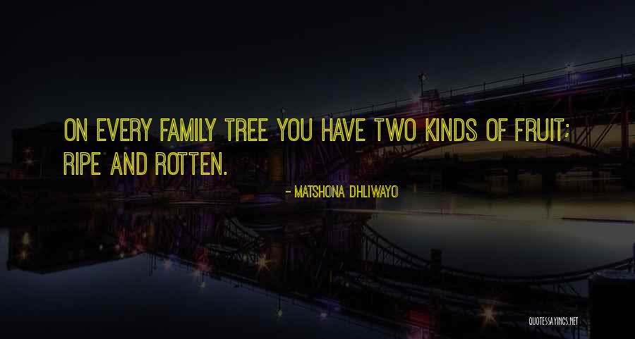 Family And Tree Quotes By Matshona Dhliwayo