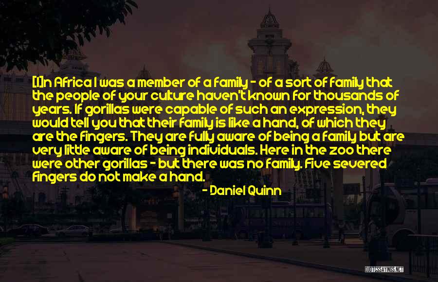 Family Are Here For You Quotes By Daniel Quinn Family Are Here For You Quotes By Daniel Quinn