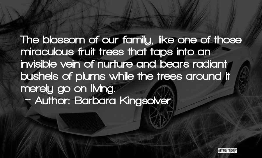 Family Are Like Trees Quotes By Barbara Kingsolver