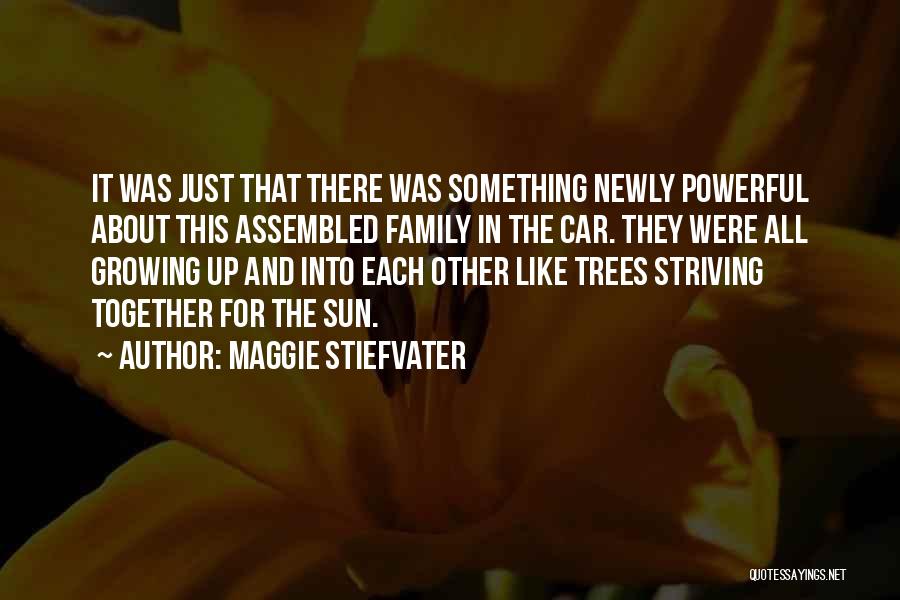 Family Are Like Trees Quotes By Maggie Stiefvater