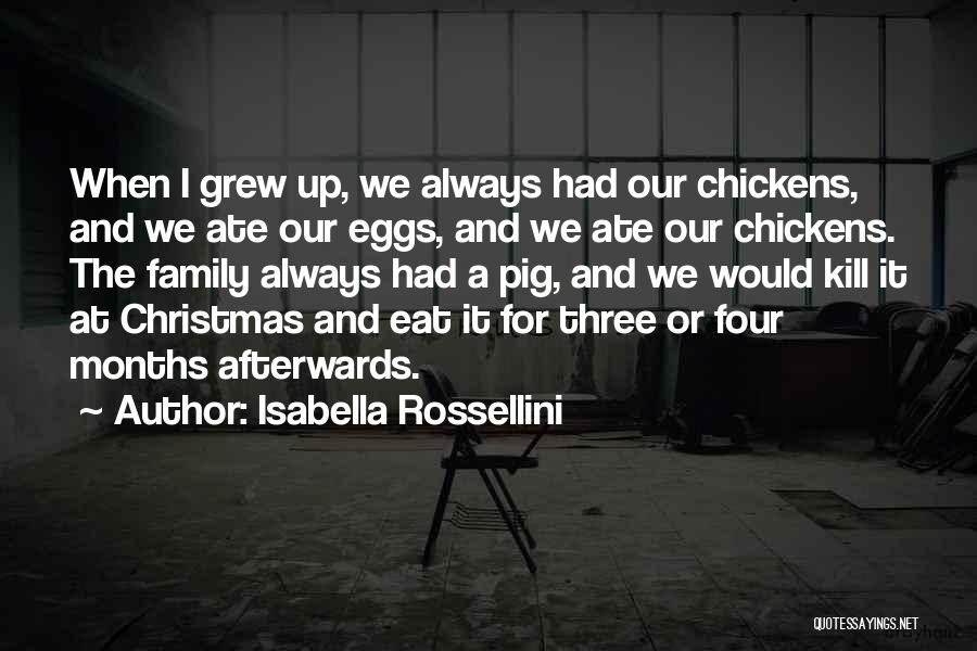 Family At Christmas Quotes By Isabella Rossellini