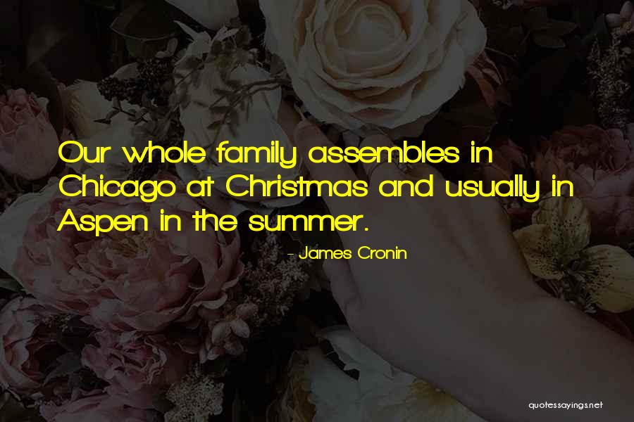 Family At Christmas Quotes By James Cronin