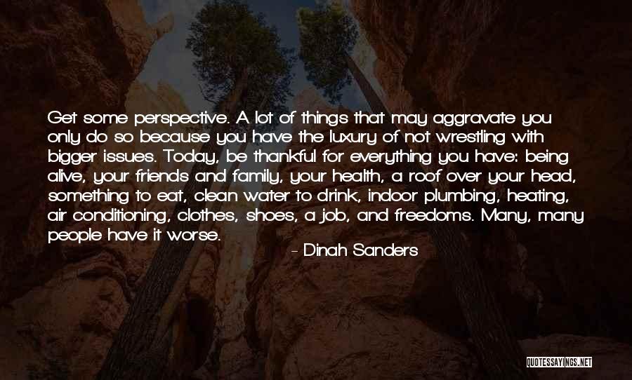 Family Being Your Friends Quotes By Dinah Sanders