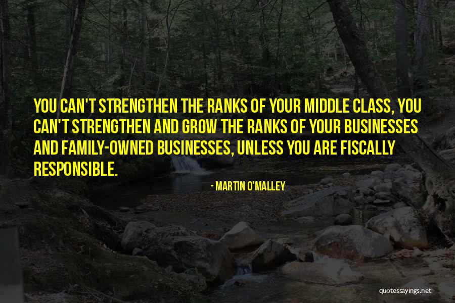 Family Businesses Quotes By Martin O'Malley