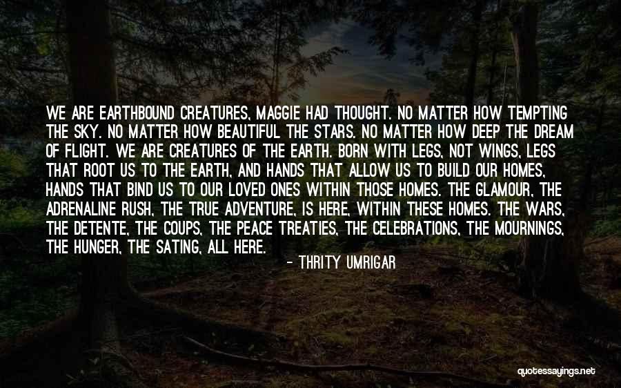 Family Celebrations Quotes By Thrity Umrigar Family Celebrations Quotes By Thrity Umrigar