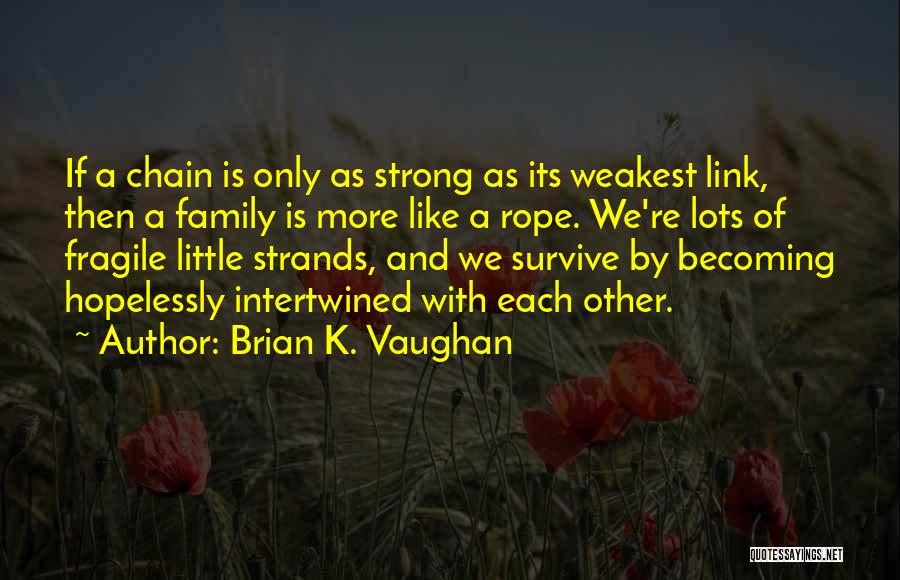 Family Chain Quotes By Brian K. Vaughan