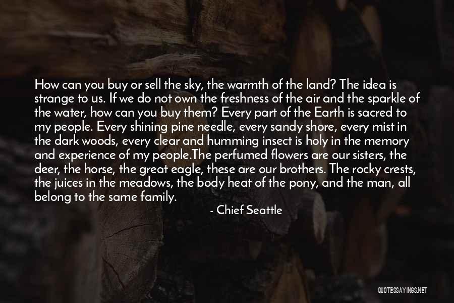 Family Crests Quotes By Chief Seattle