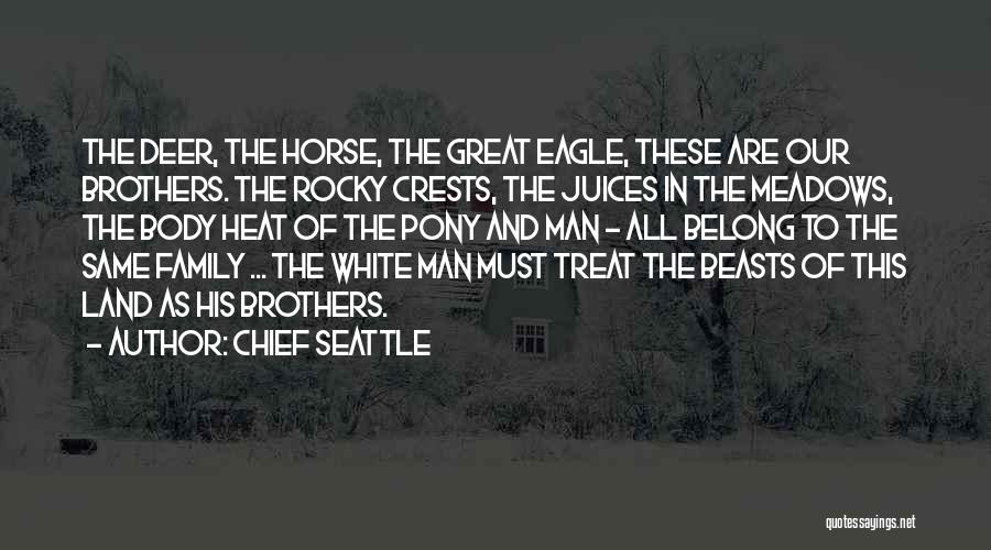 Family Crests Quotes By Chief Seattle