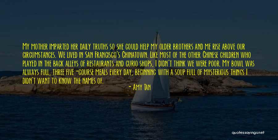 Family Daily Quotes By Amy Tan