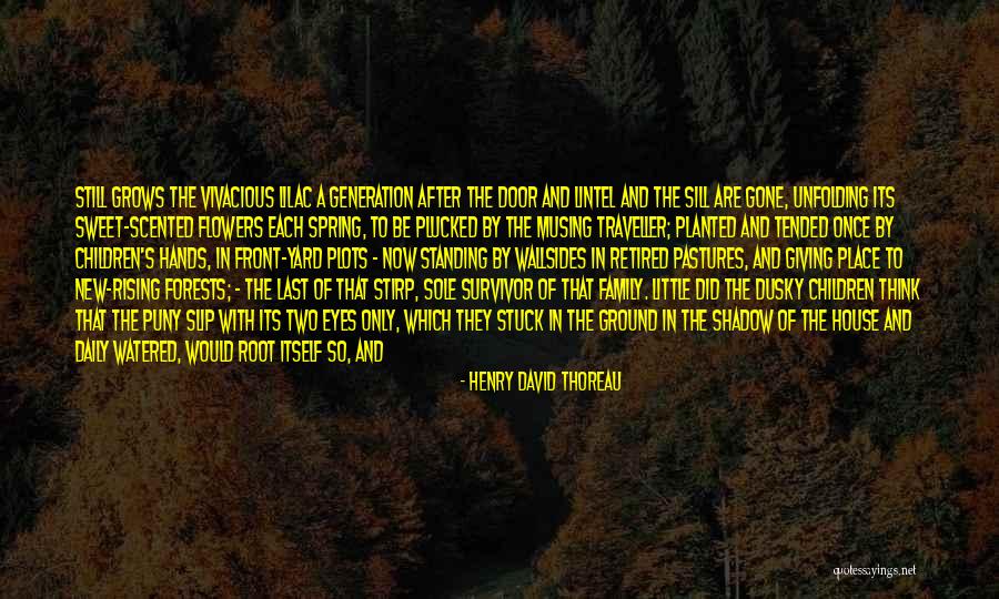 Family Daily Quotes By Henry David Thoreau