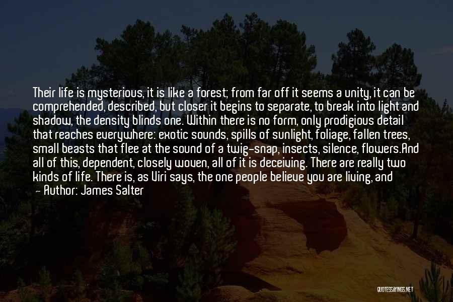 Family Deceiving Quotes By James Salter