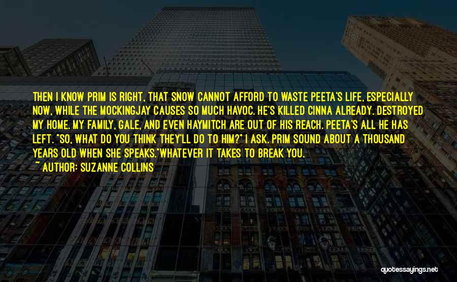 Family Destroyed Quotes By Suzanne Collins