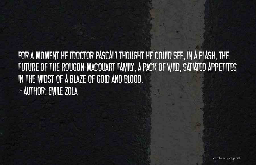 Family Doctor Quotes By Emile Zola