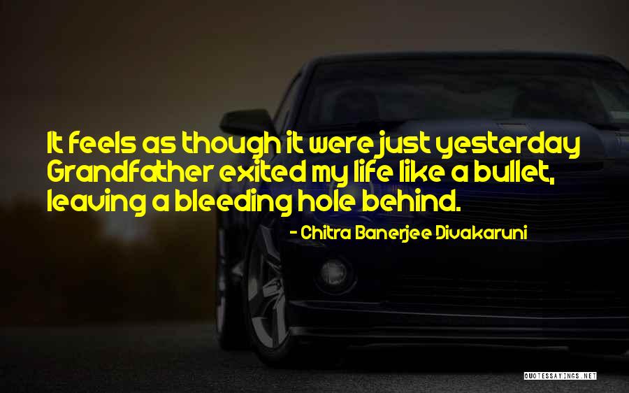 Family Drama Quotes By Chitra Banerjee Divakaruni Family Drama Quotes By Chitra Banerjee Divakaruni