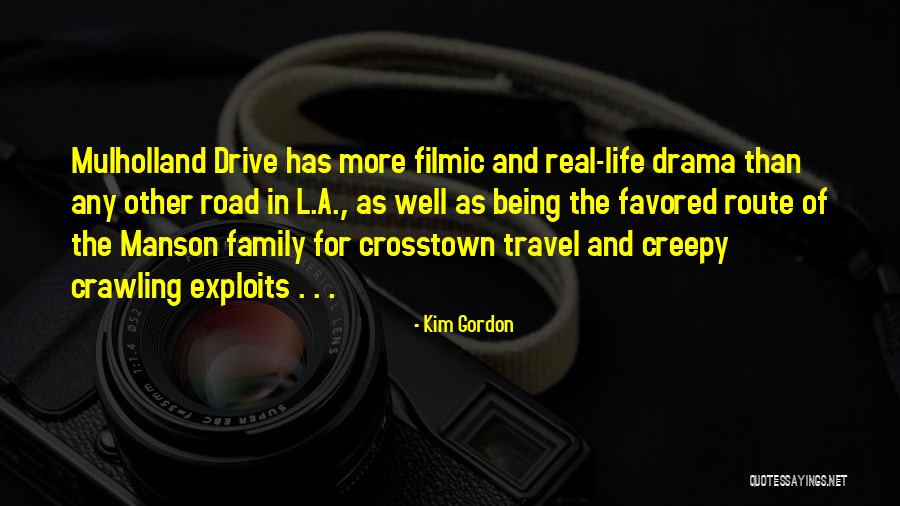 Family Drama Quotes By Kim Gordon Family Drama Quotes By Kim Gordon