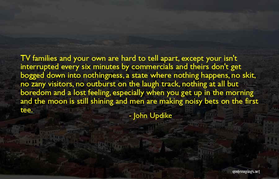 Family Far Apart Quotes By John Updike