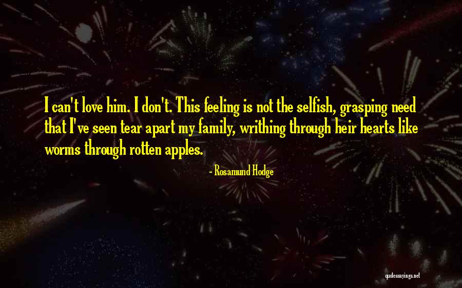 Family Far Apart Quotes By Rosamund Hodge