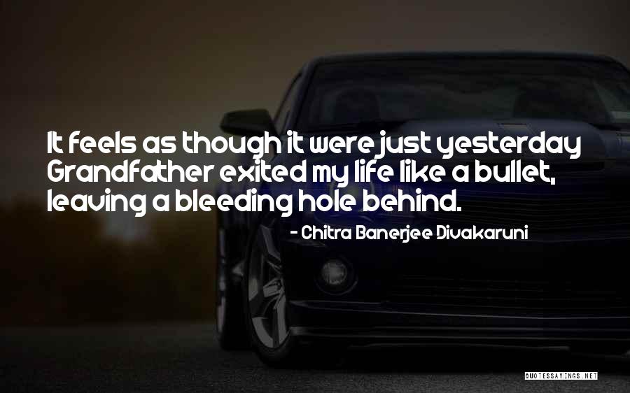 Family Fiction Quotes By Chitra Banerjee Divakaruni Family Fiction Quotes By Chitra Banerjee Divakaruni