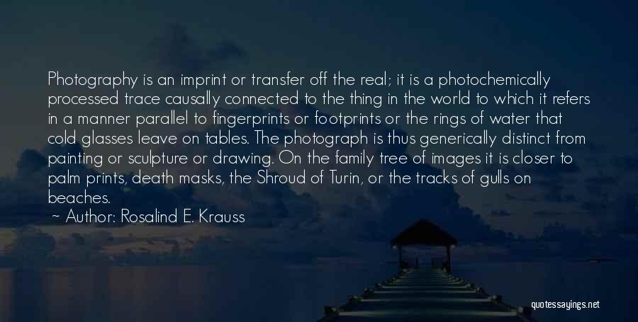 Family Footprints Quotes By Rosalind E. Krauss