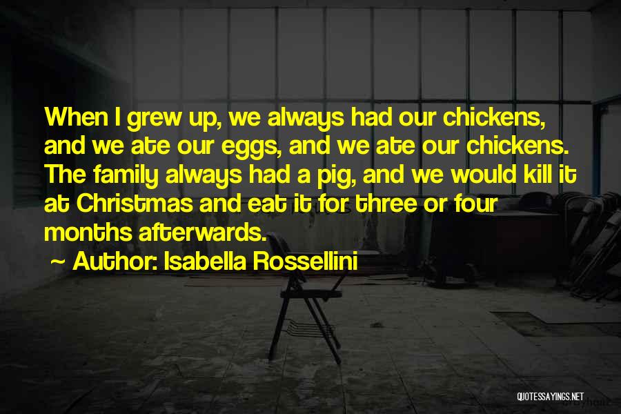 Family For Christmas Quotes By Isabella Rossellini