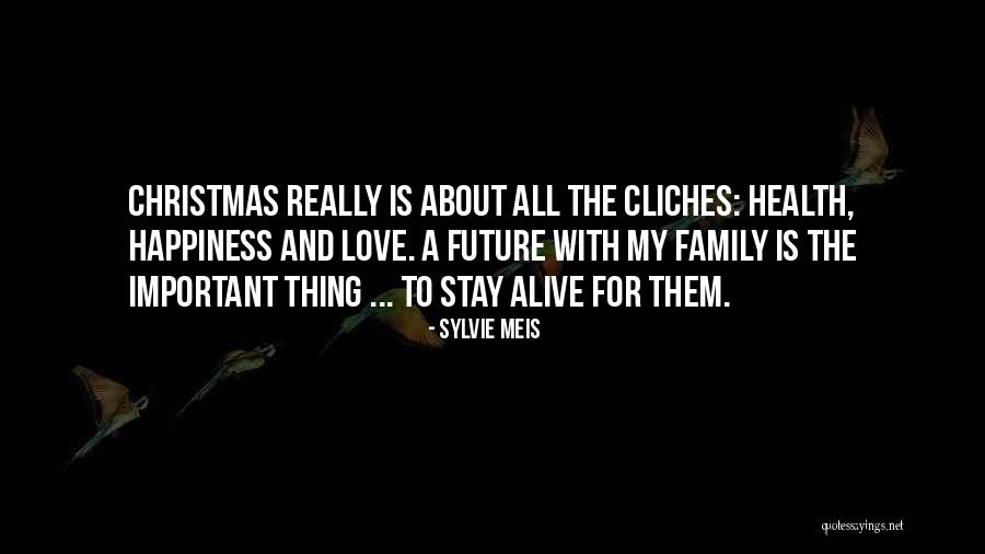 Family For Christmas Quotes By Sylvie Meis