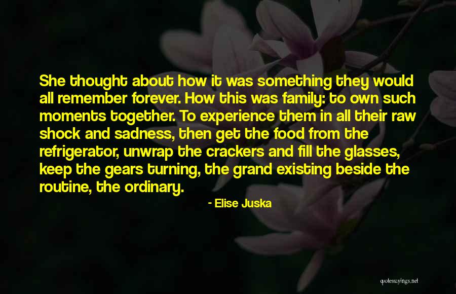 Family Forever Quotes By Elise Juska