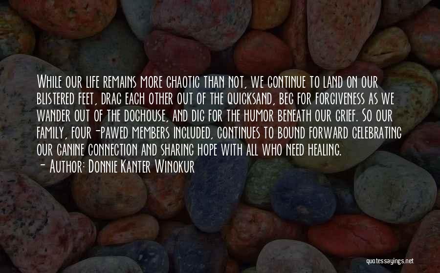 Family Forgiveness Quotes By Donnie Kanter Winokur